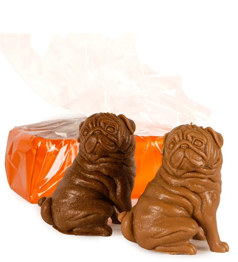 2'li Kahverengi Pug Mum Tasarım - Kırşehir çiçek siparişi