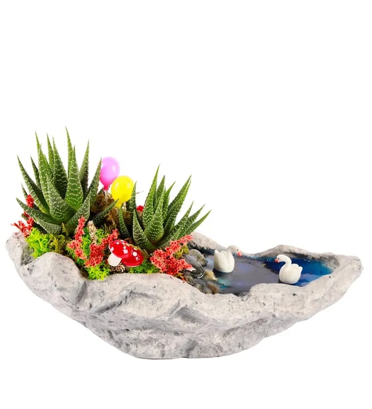 Marineris Serisi Balonlu Haworthia Teraryum - Kastamonu çiçek siparişi