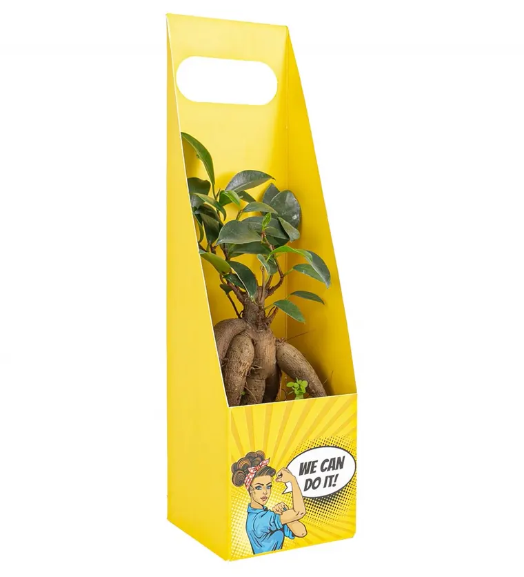 We Can Do It Serisi Mini Bonsai Tasarım - Sakarya çiçek siparişi