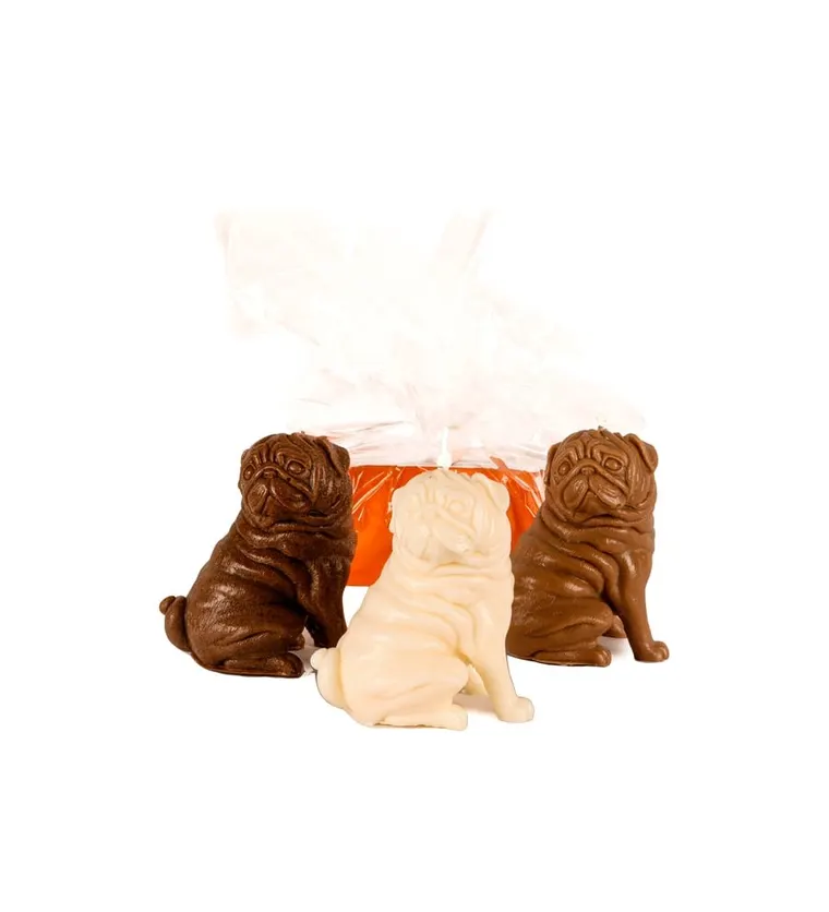 3'lü Kahverengi- Beyaz Pug Mum Tasarım - Bartın çiçek siparişi