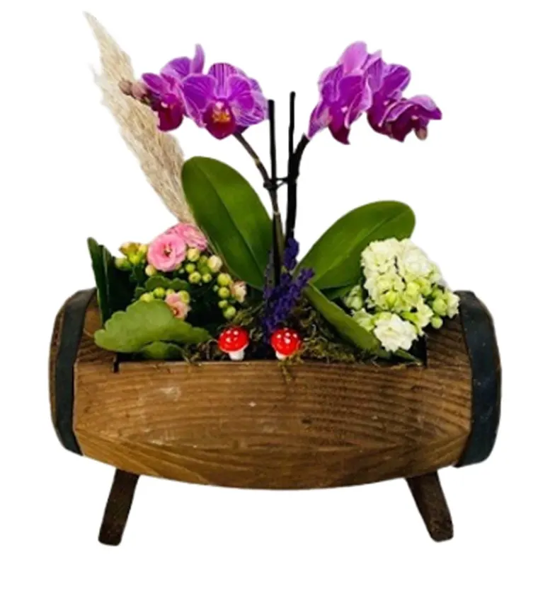 Ahşap Yayık Saksıda Mini Orkide ve Kalanchoe - Elazığ çiçek siparişi